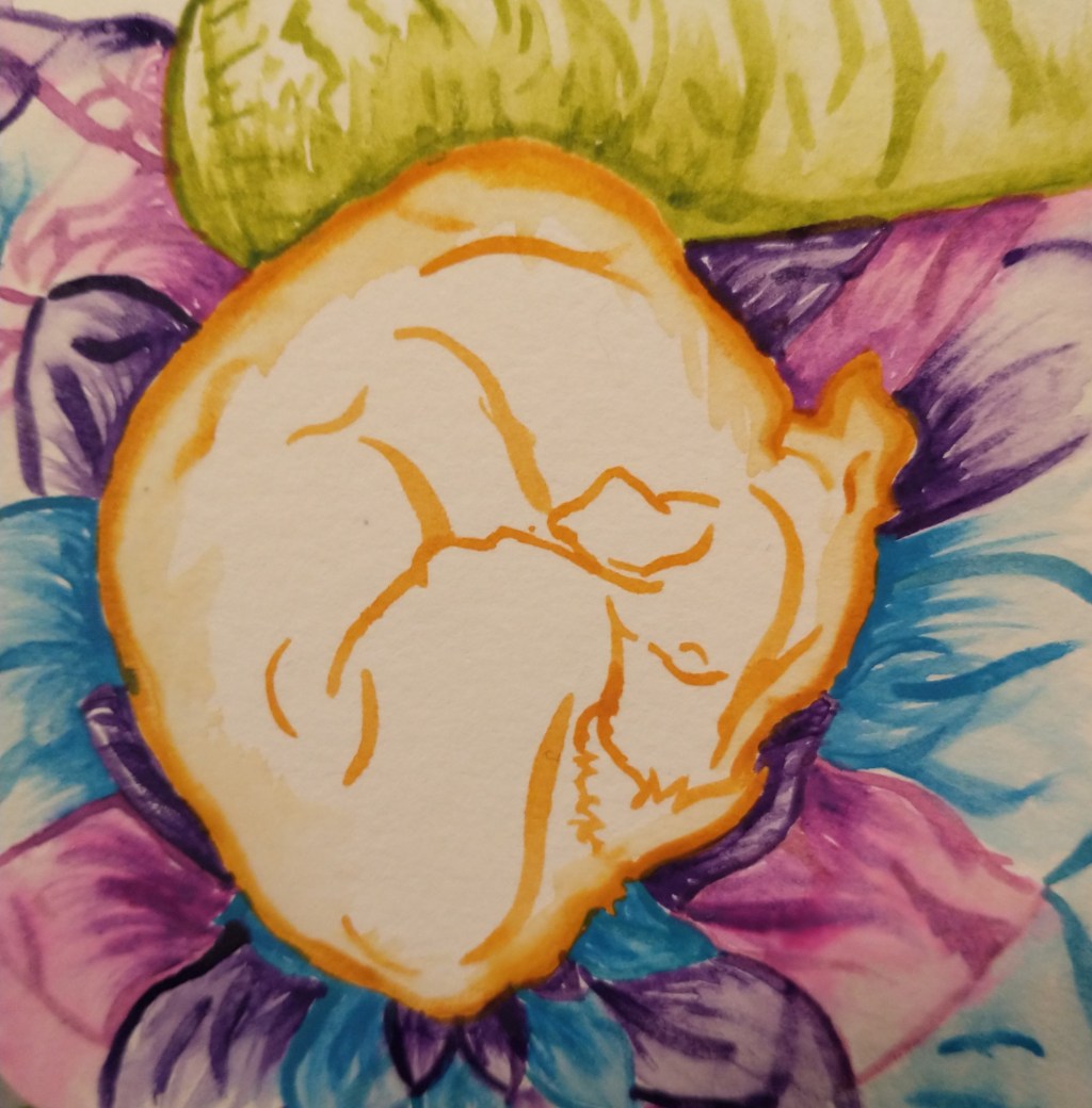 My Watercolour Journey: Week&nbsp;5